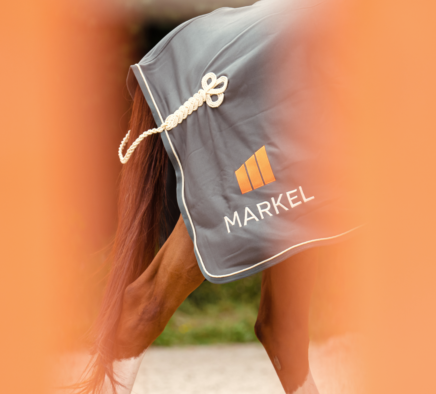 Markel Equine - Assurance chevaux de course